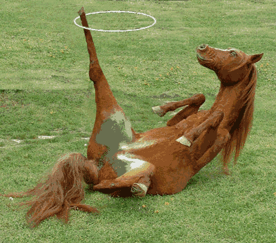 gallery/funny_horse_animated