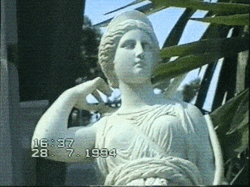 gallery/giphy (5)